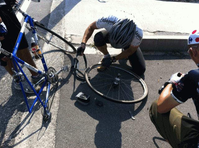 f0001993_17424452.gif