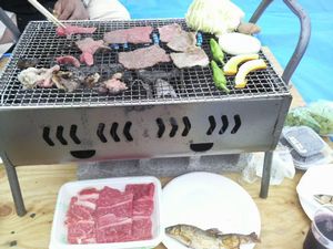 楽しく参考になった朝日町ワイン祭り_d0129296_22745100.jpg