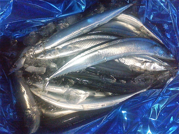 b0199097_2012198.jpg