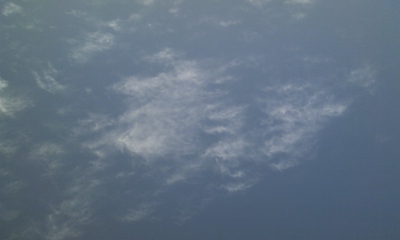 f0030697_20595486.jpg