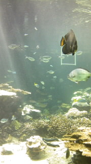 c0229500_9541437.jpg
