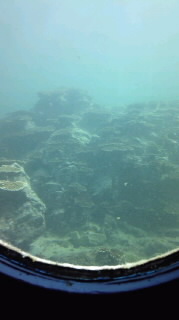 c0229500_9563547.jpg