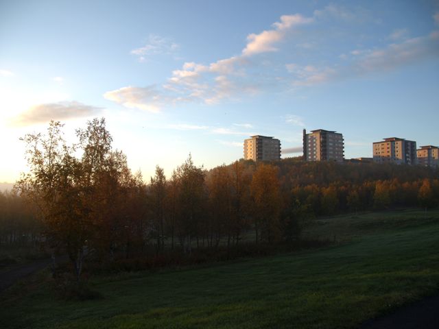 c0007501_22163843.jpg