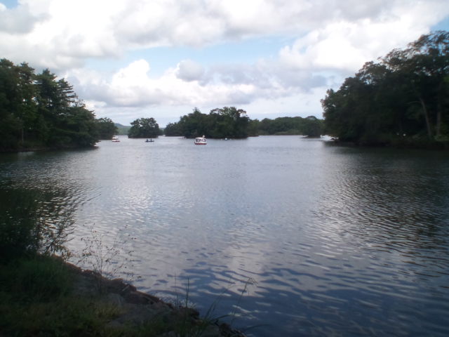 b0127002_22254892.jpg