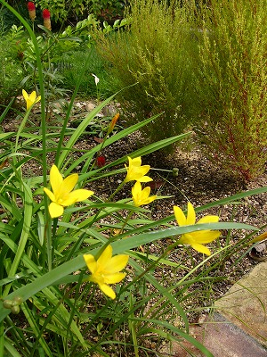 a0123003_2373078.jpg