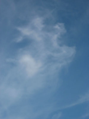 e0118904_2250419.jpg