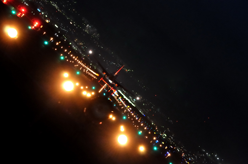 千里川へ 2_d0119505_341060.jpg