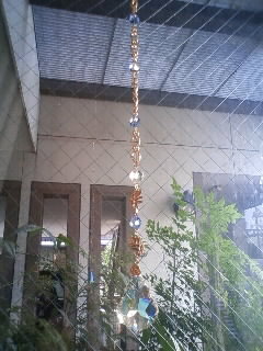e0159905_2038432.jpg