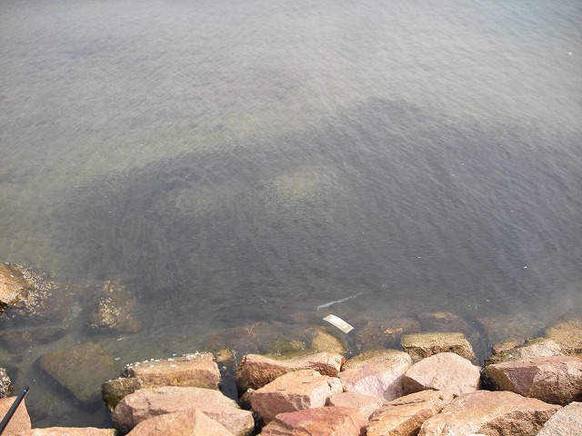 a0142107_11231468.jpg