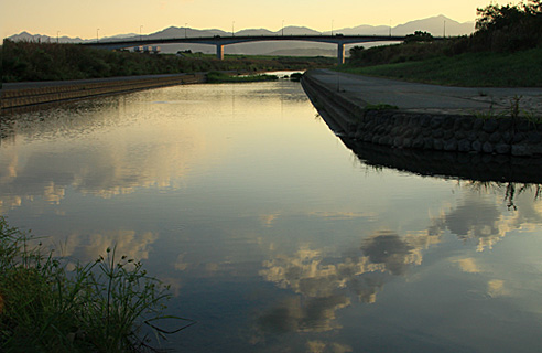 七つ森古墳の彼岸花_b0014607_21543329.jpg