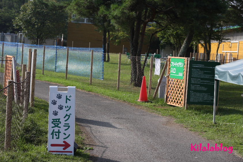 e0130008_22175334.jpg