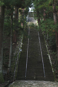 c0097309_943044.jpg
