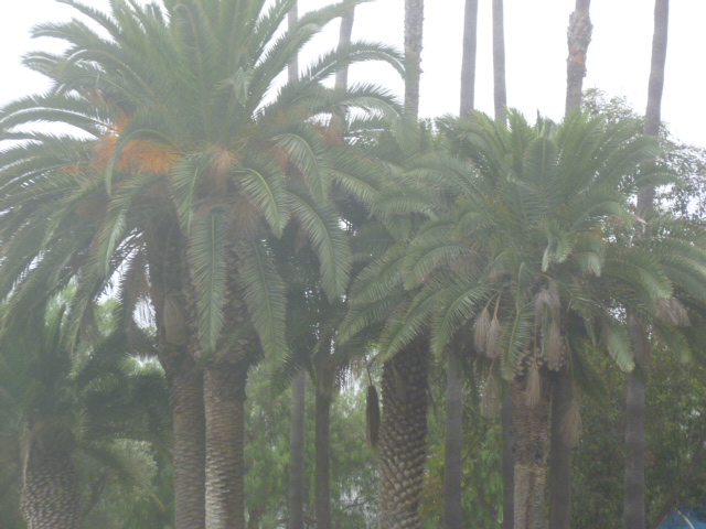 a0144811_23295131.jpg