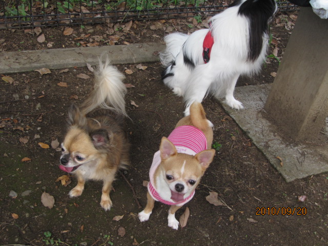 c0200916_21544766.jpg