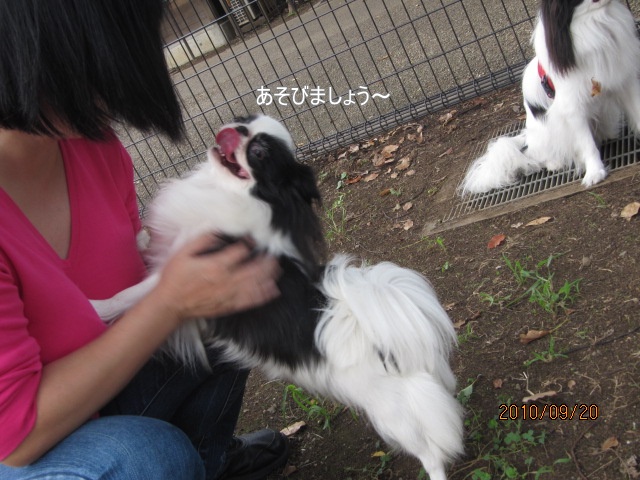 c0200916_21562259.jpg