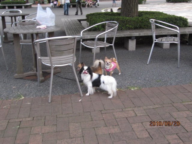 c0200916_2210147.jpg