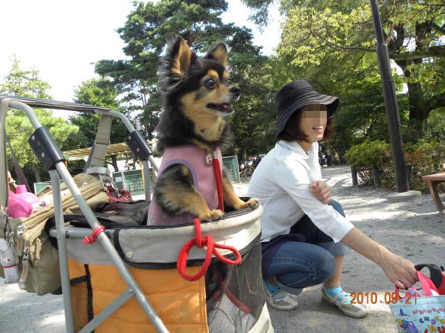 b0203018_157319.jpg