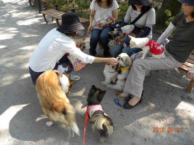 b0203018_1585782.jpg