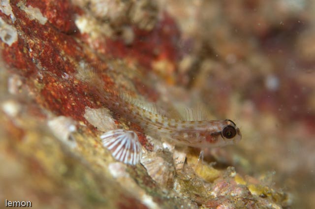 f0221418_2243367.jpg