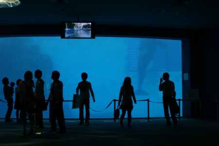 f0097620_2161349.jpg