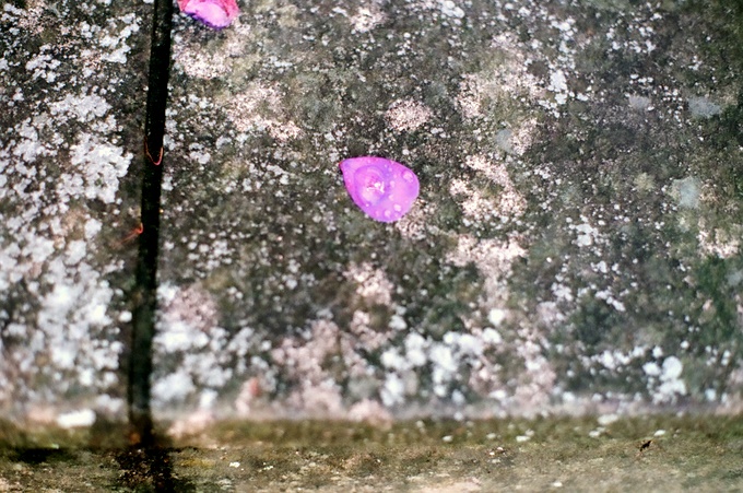 b0132924_23132968.jpg