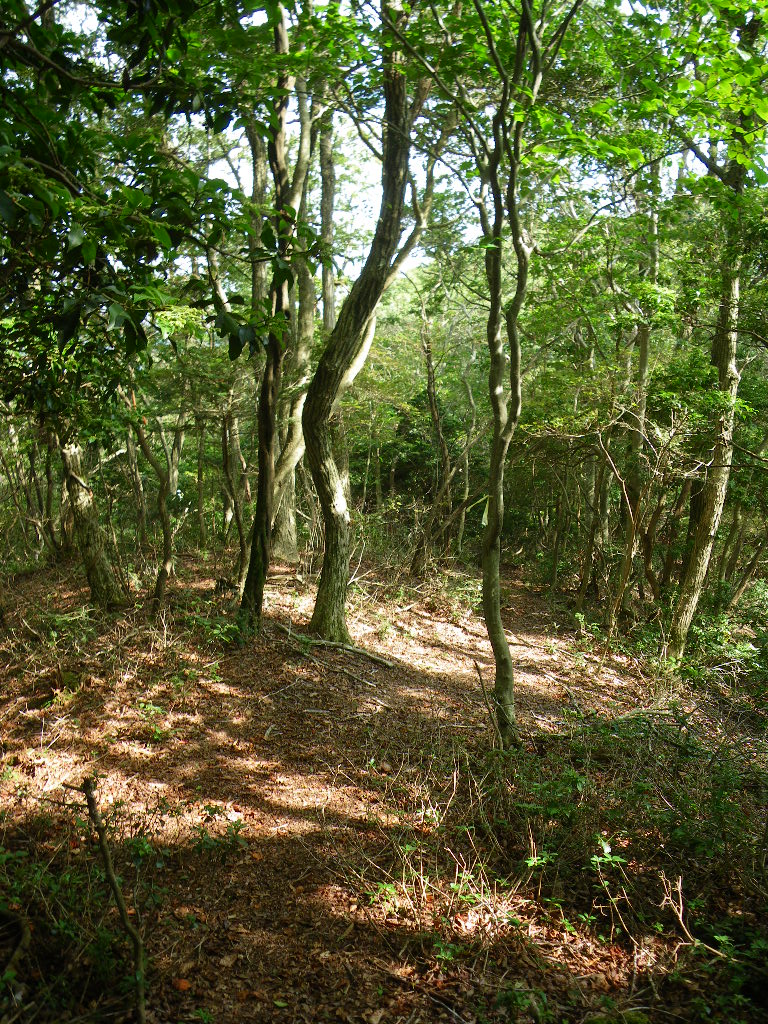 c0189724_21203667.jpg