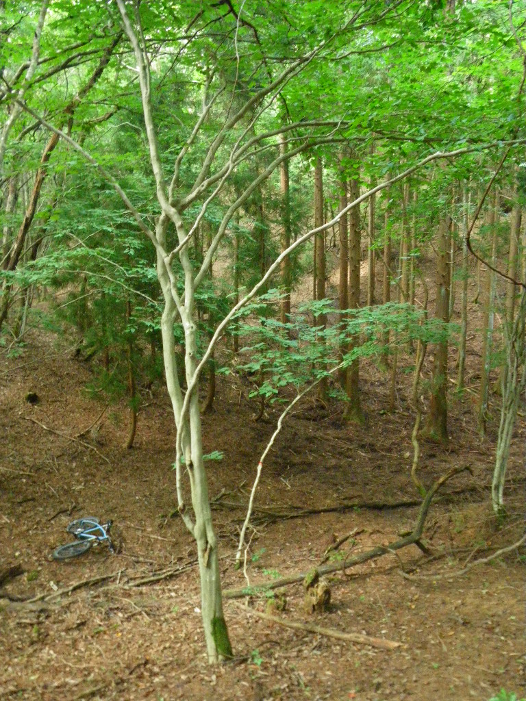 c0189724_2121741.jpg