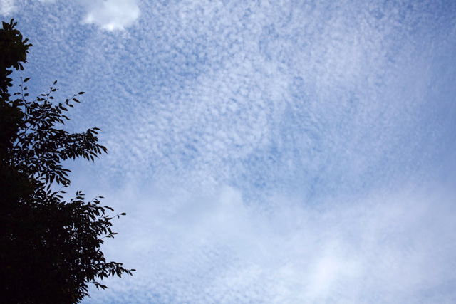c0064025_2014966.jpg