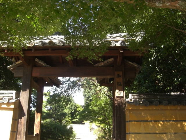 e0145328_1323575.jpg