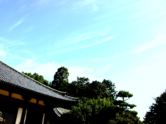 e0145328_134668.jpg