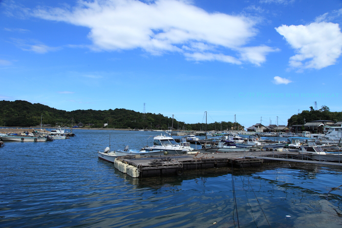 瀬戸内国際芸術祭2010-Blue sea,Blue sky-_a0166729_222549.jpg