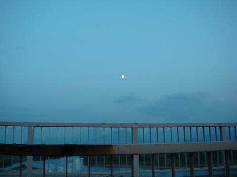 a0014840_238696.jpg