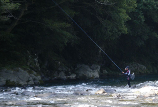 a0056140_1753132.jpg