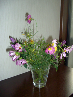 e0110940_23354778.jpg