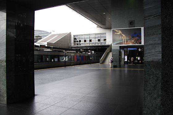 京都駅　（Kyoto station）_a0031741_1411376.jpg