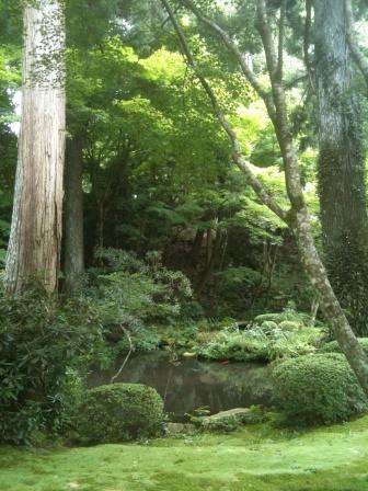 京都大原_f0184247_13375685.jpg