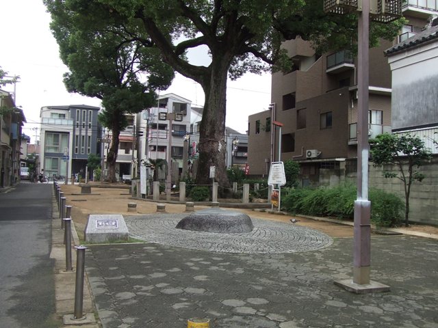 e0046748_16443267.jpg