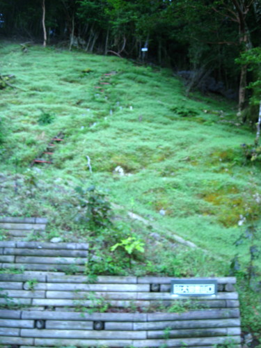c0179351_13524399.jpg