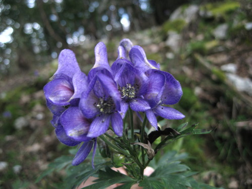 c0179351_1358177.jpg