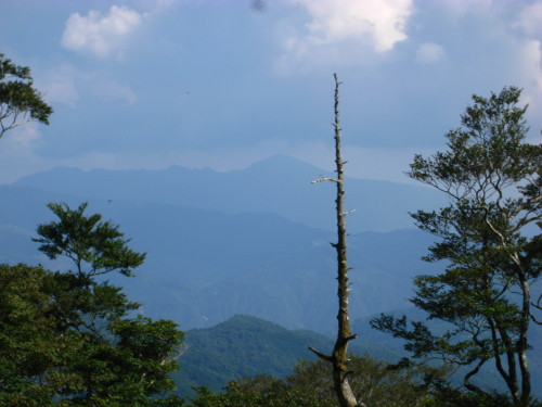 c0179351_1411882.jpg