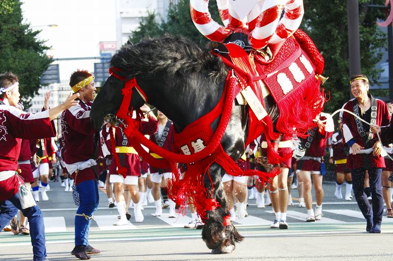 躍動・飾り馬編！_a0057752_895814.jpg