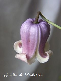 e0118257_15225131.jpg