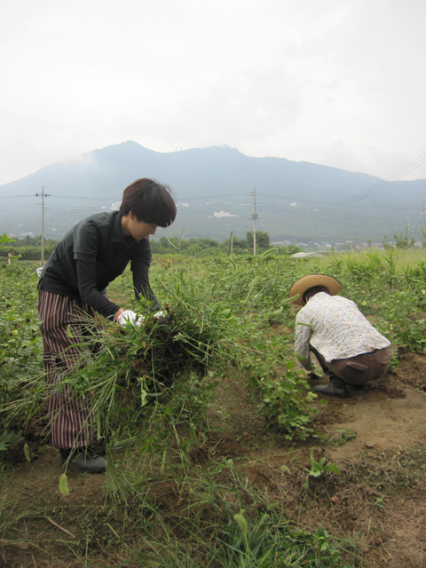 お肌と畑のお手入れは大事です。_d0180458_1157163.jpg