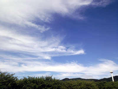 c0050264_1043968.jpg