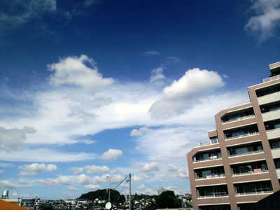 c0050264_1054280.jpg