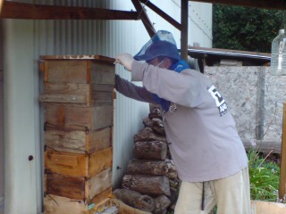 e0187064_035569.jpg