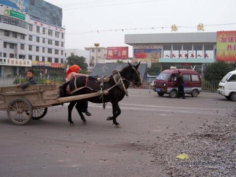 張掖(中国・甘粛省)　(3) 　きっぷを買いに駅へ_d0064266_4473289.jpg