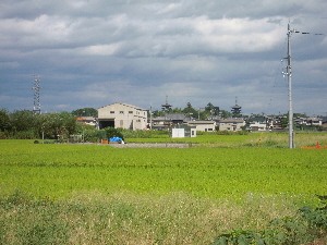 e0033570_6224924.jpg