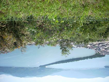 c0153173_2250425.jpg