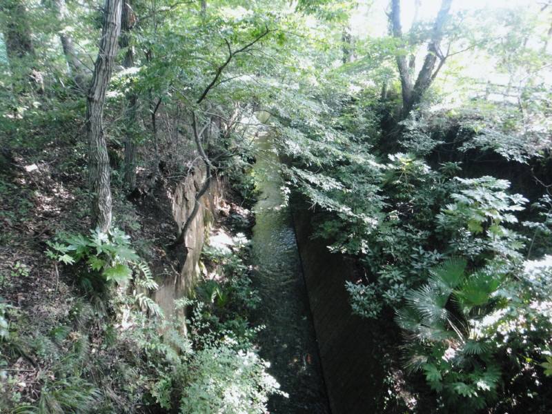 f0059673_23133720.jpg